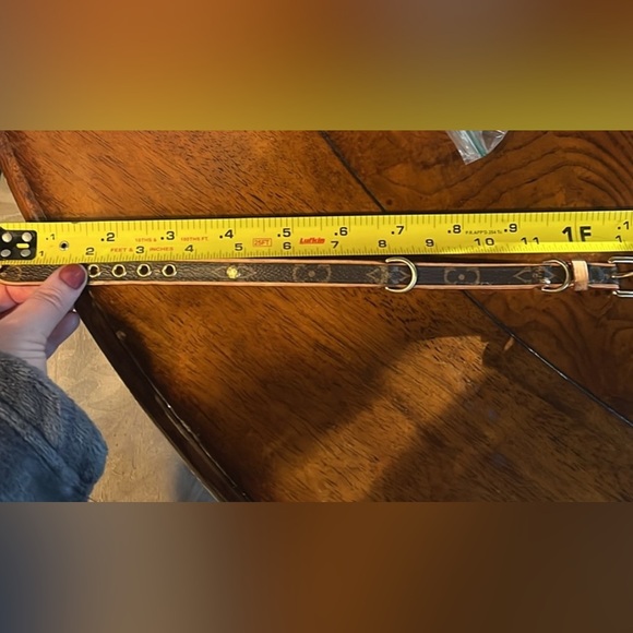 Louis Vuitton monogram dog collar and leash set - Picture 8 of 8